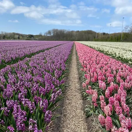 بيت للعطل Slapen Aan Zee By Droomvilla *